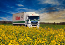 Transport całopojazdowy